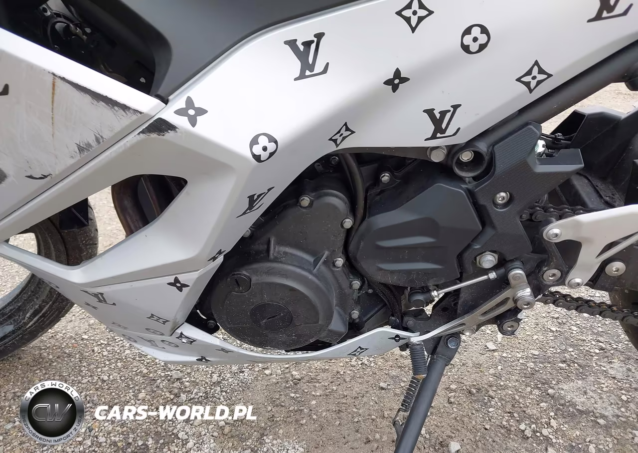 2024 Kawasaki Ex500 VIN:ML5EXGG10RDA31356 - 9