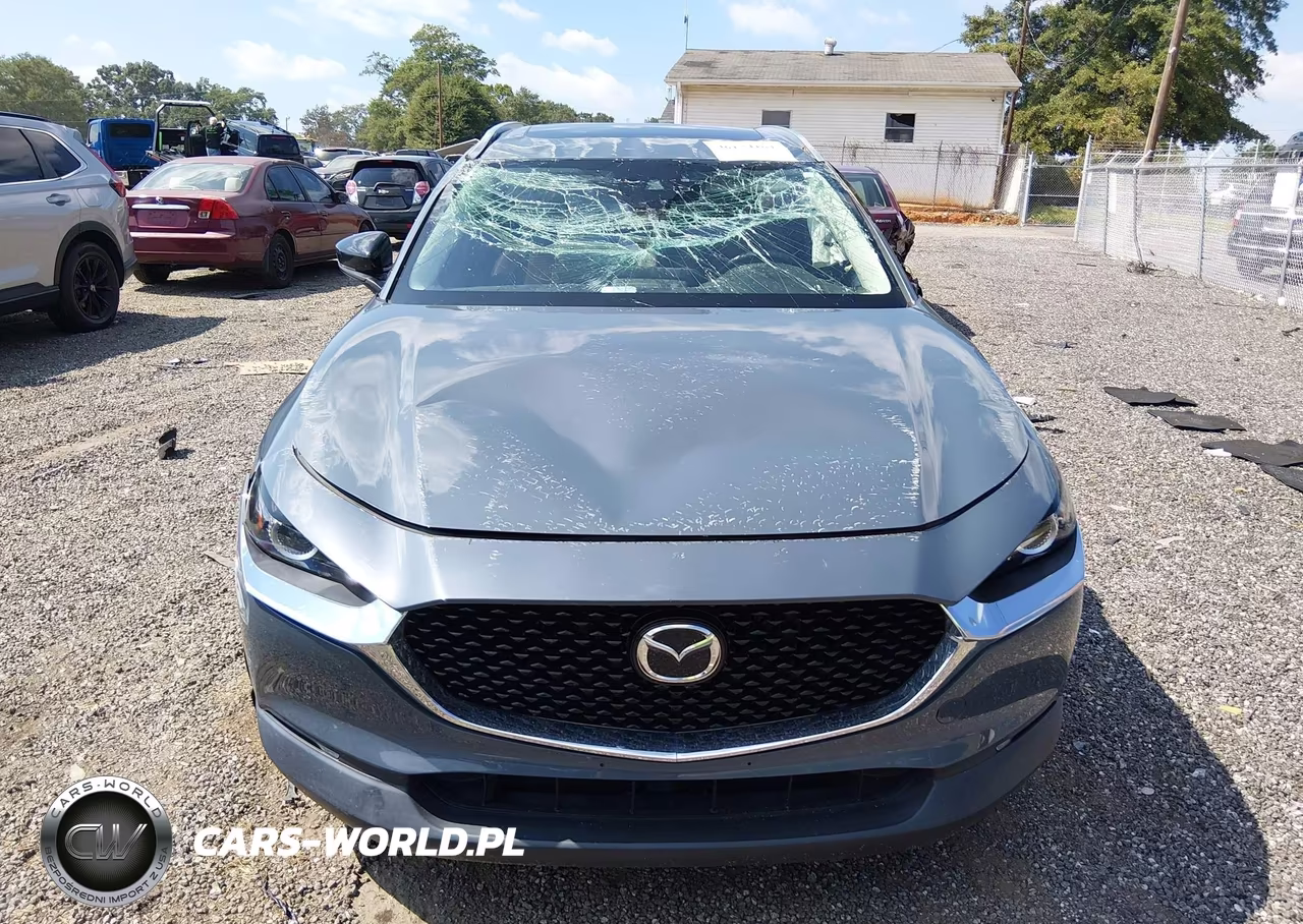 2023 Mazda Cx-30 2.5 S Carbon Edition VIN:3MVDMBCM4PM502113 - 12