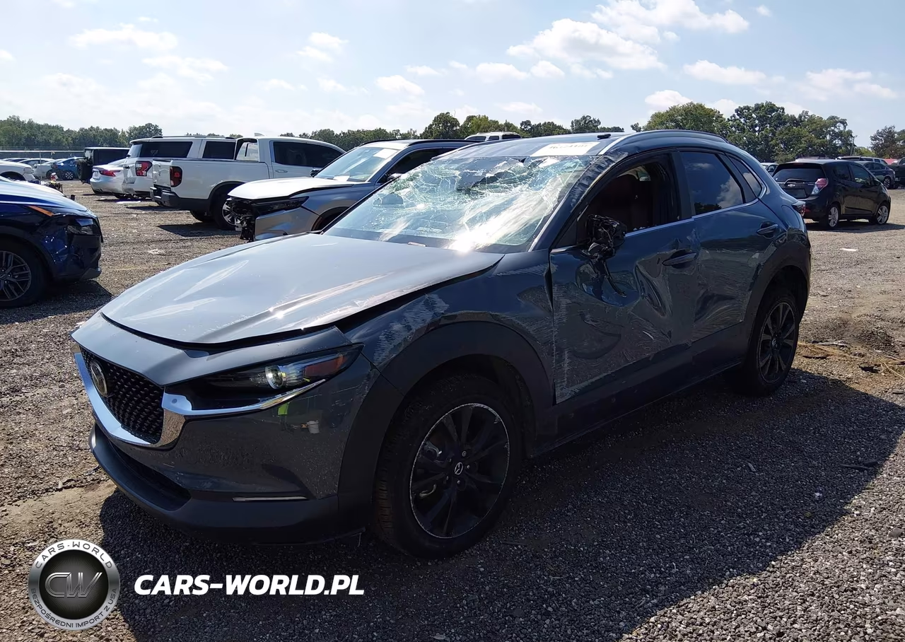 2023 Mazda Cx-30 2.5 S Carbon Edition VIN:3MVDMBCM4PM502113 - 6