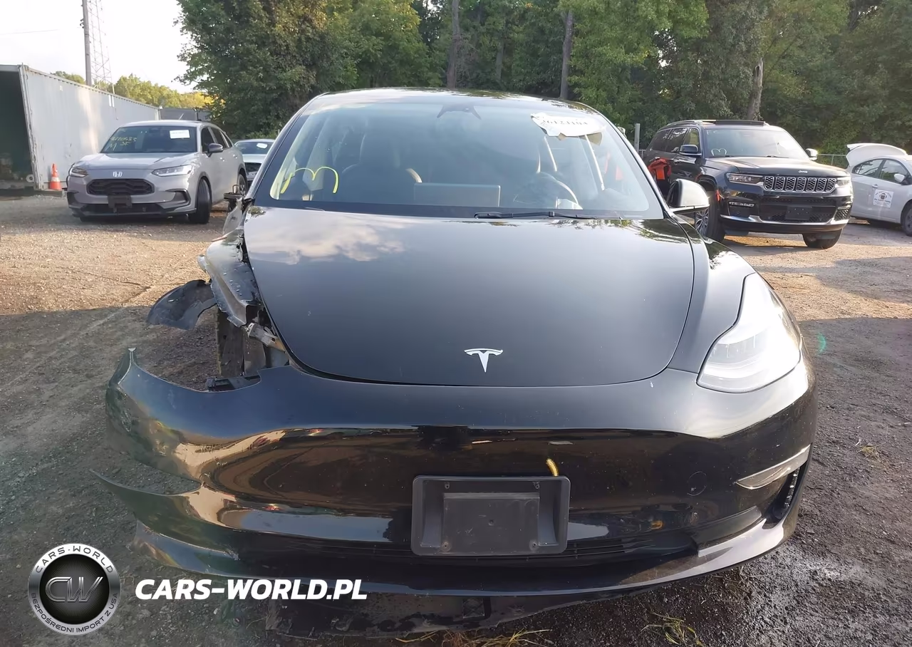2023 Tesla Model 3 Long Range Dual Motor All-Wheel Drive VIN:5YJ3E1EB8PF631945 - 12