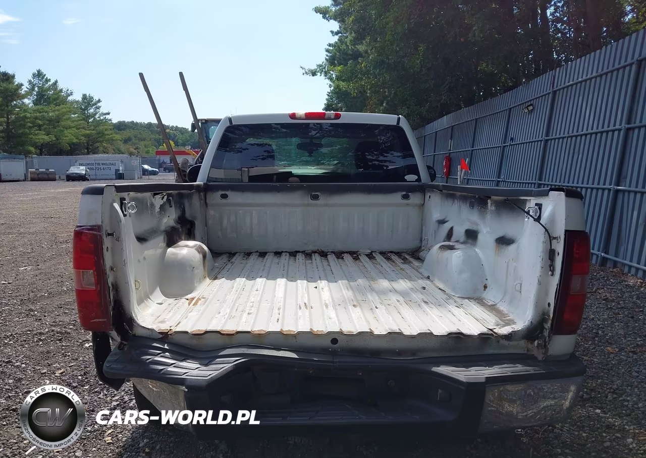 2008 Chevrolet Silverado 1500 Work Truck VIN:1GCEK14JX8Z309703 - 6