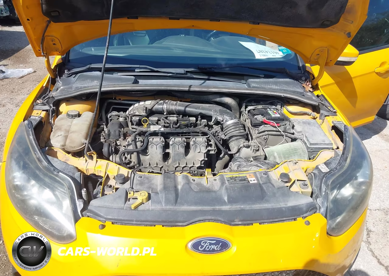 2013 Ford Focus St VIN:1FADP3L93DL254613 - 10