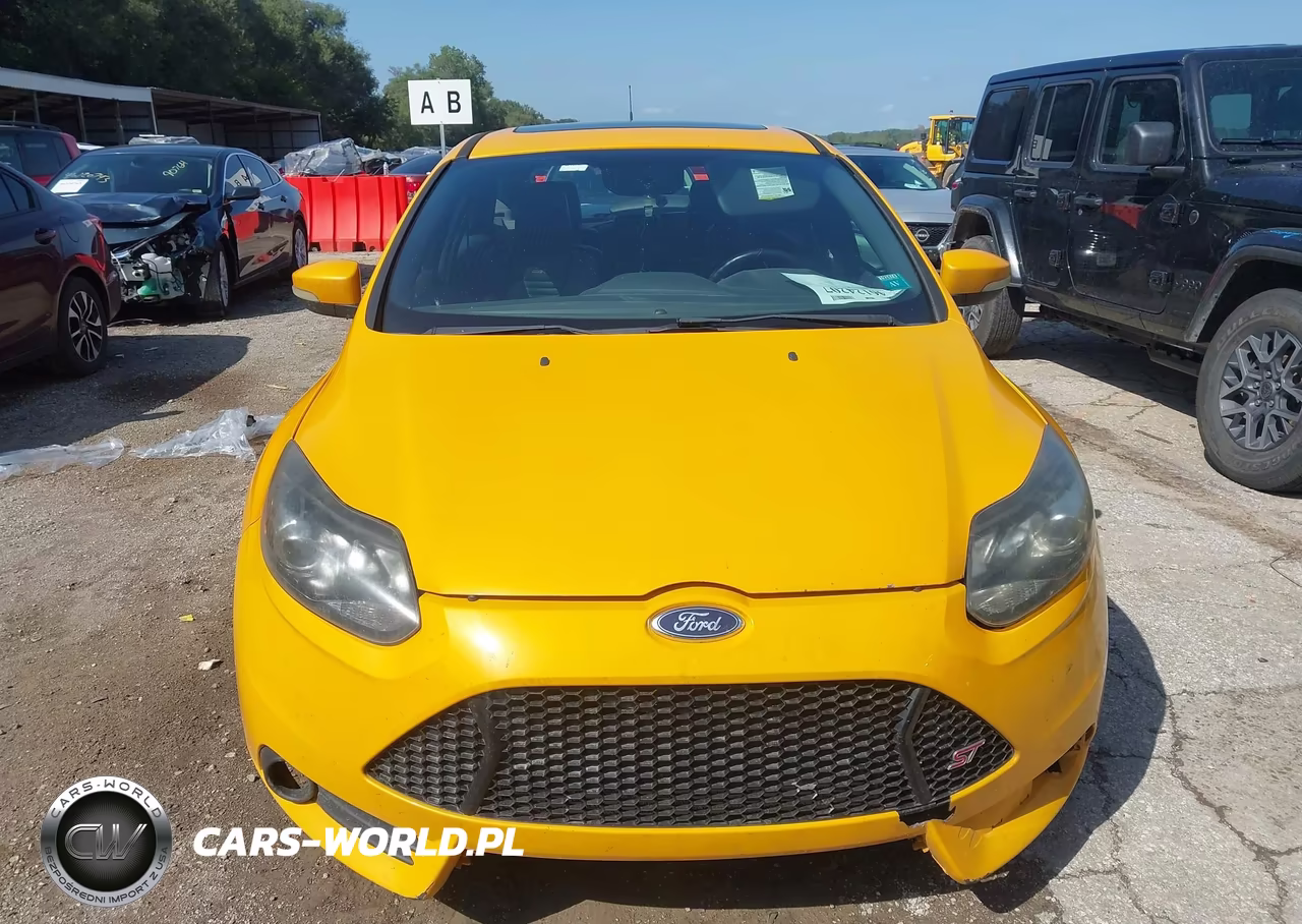 2013 Ford Focus St VIN:1FADP3L93DL254613 - 12