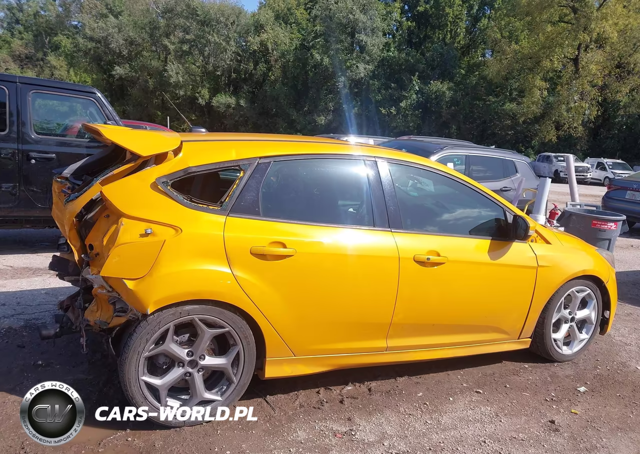 2013 Ford Focus St VIN:1FADP3L93DL254613 - 13
