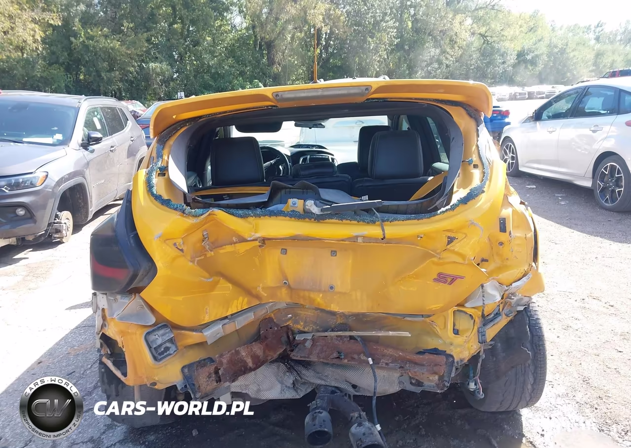 2013 Ford Focus St VIN:1FADP3L93DL254613 - 16