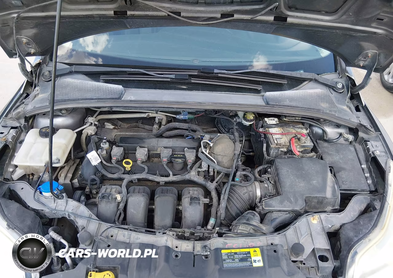 2014 Ford Focus Se VIN:1FADP3K20EL208047 - 10