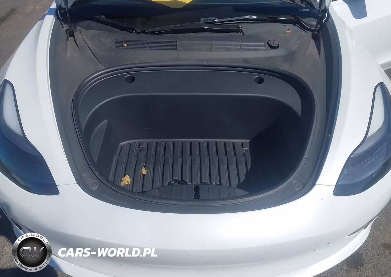 2023 Tesla Model 3 Rear-Wheel Drive VIN:5YJ3E1EA4PF576370 - 10