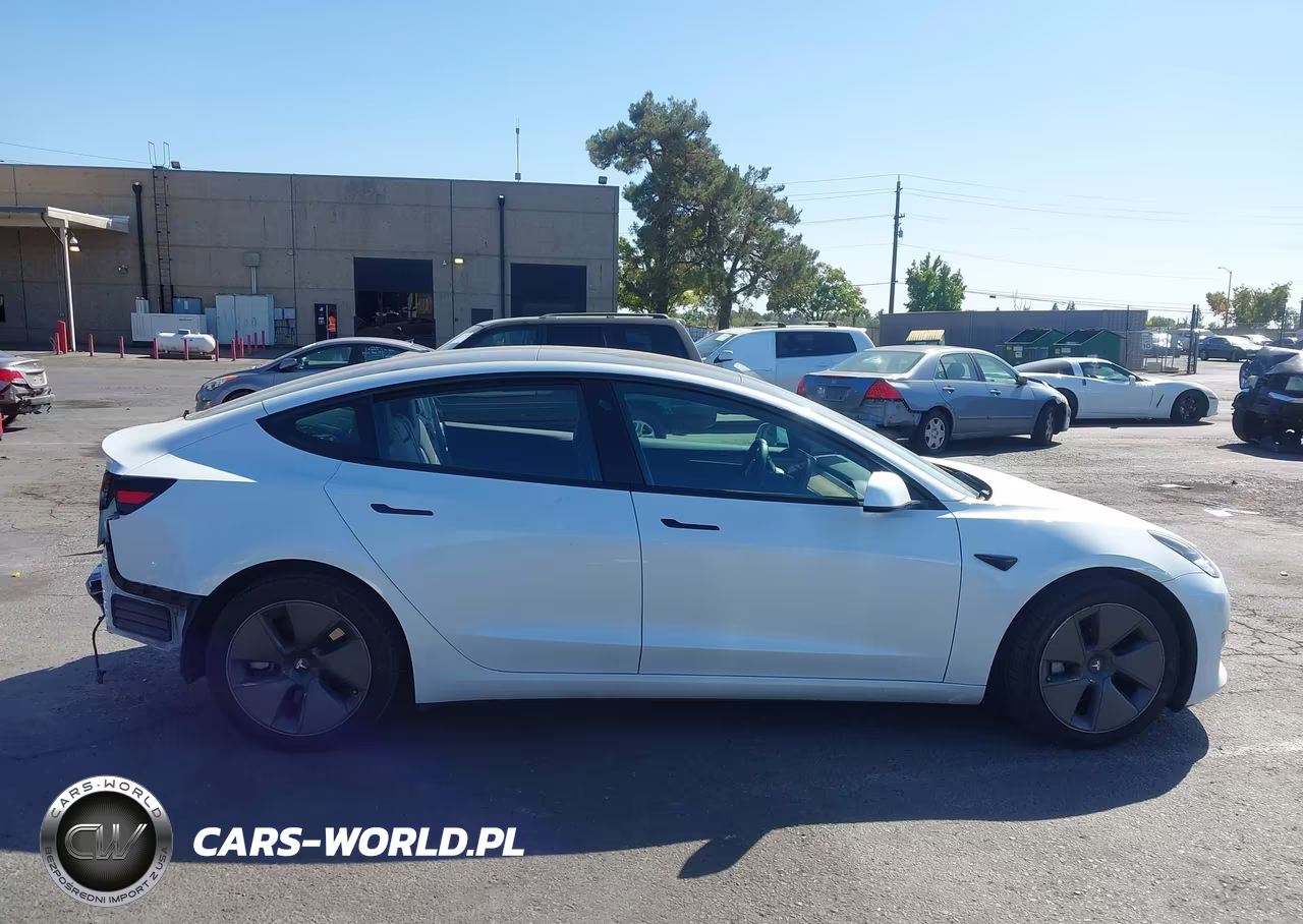 2023 Tesla Model 3 Rear-Wheel Drive VIN:5YJ3E1EA4PF576370 - 13