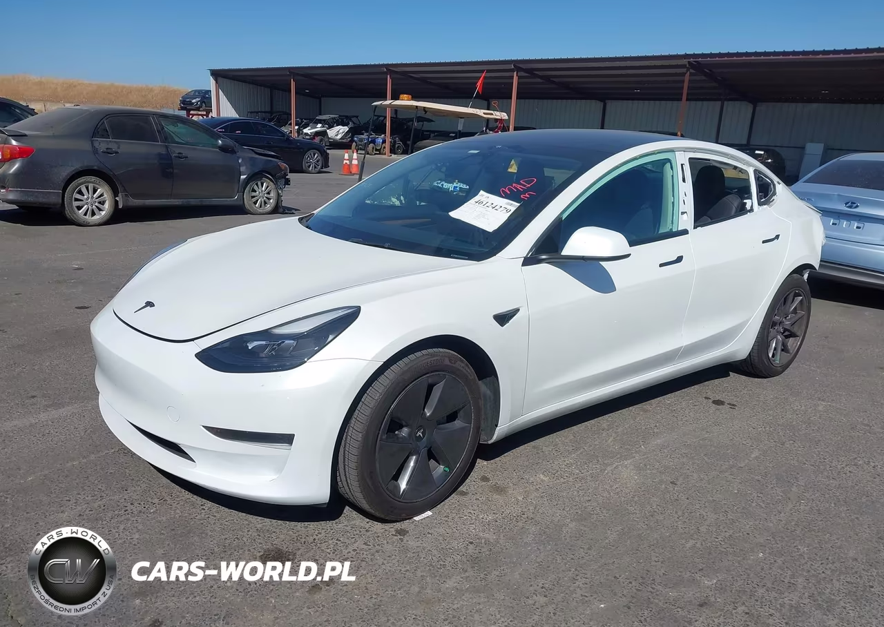 2023 Tesla Model 3 Rear-Wheel Drive VIN:5YJ3E1EA4PF576370 - 2