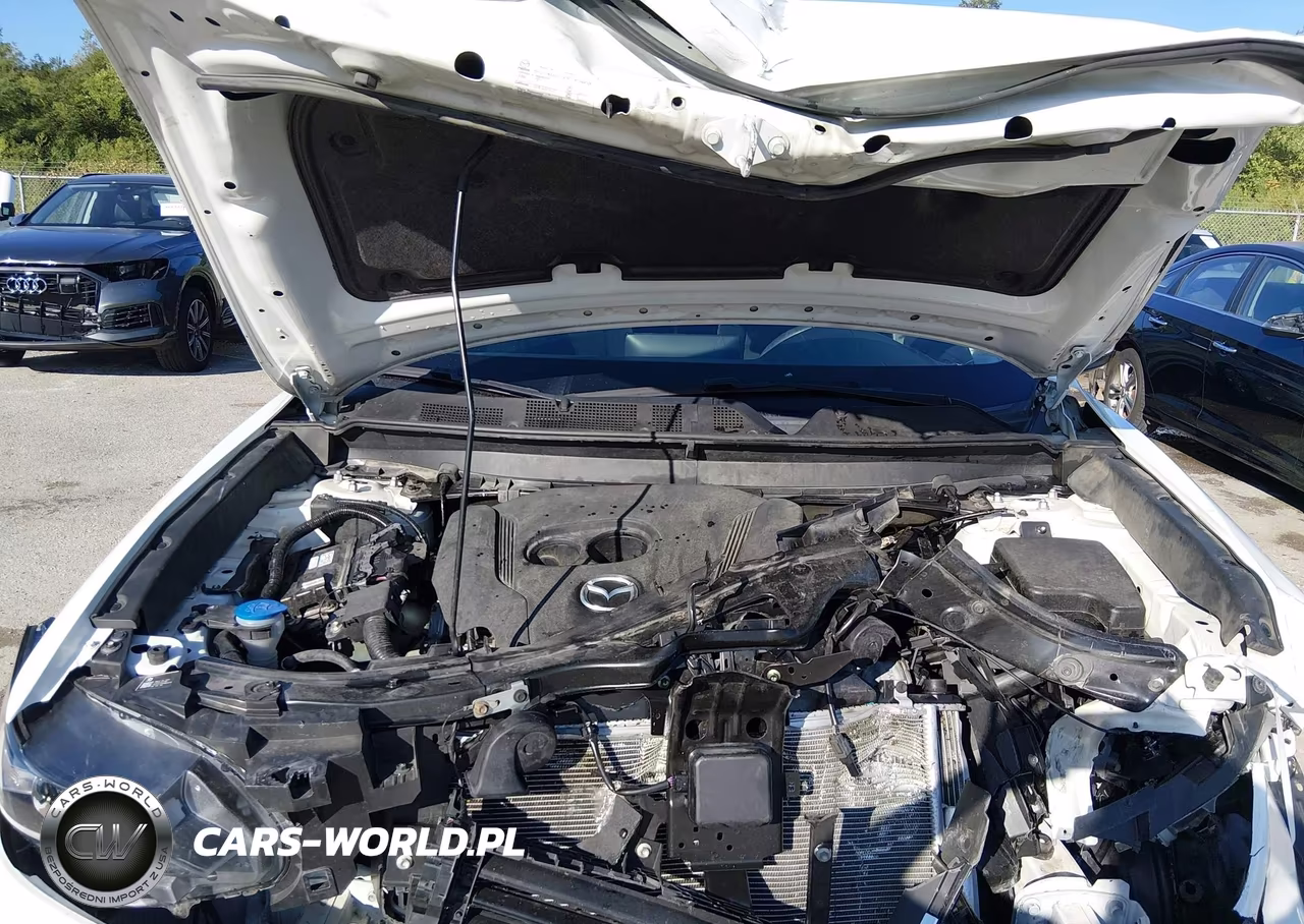 2021 Mazda Cx-9 Sport VIN:JM3TCABYXM0513699 - 10