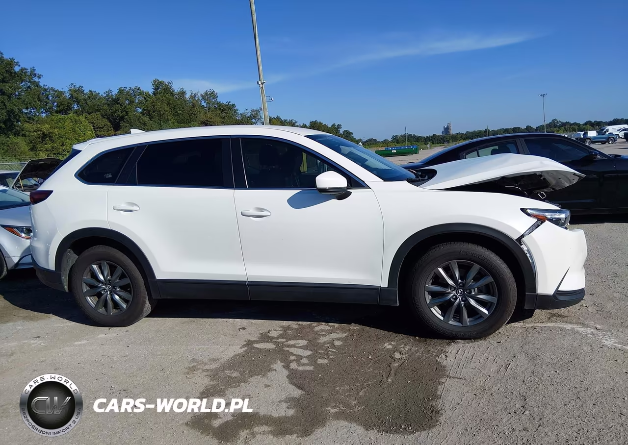 2021 Mazda Cx-9 Sport VIN:JM3TCABYXM0513699 - 13