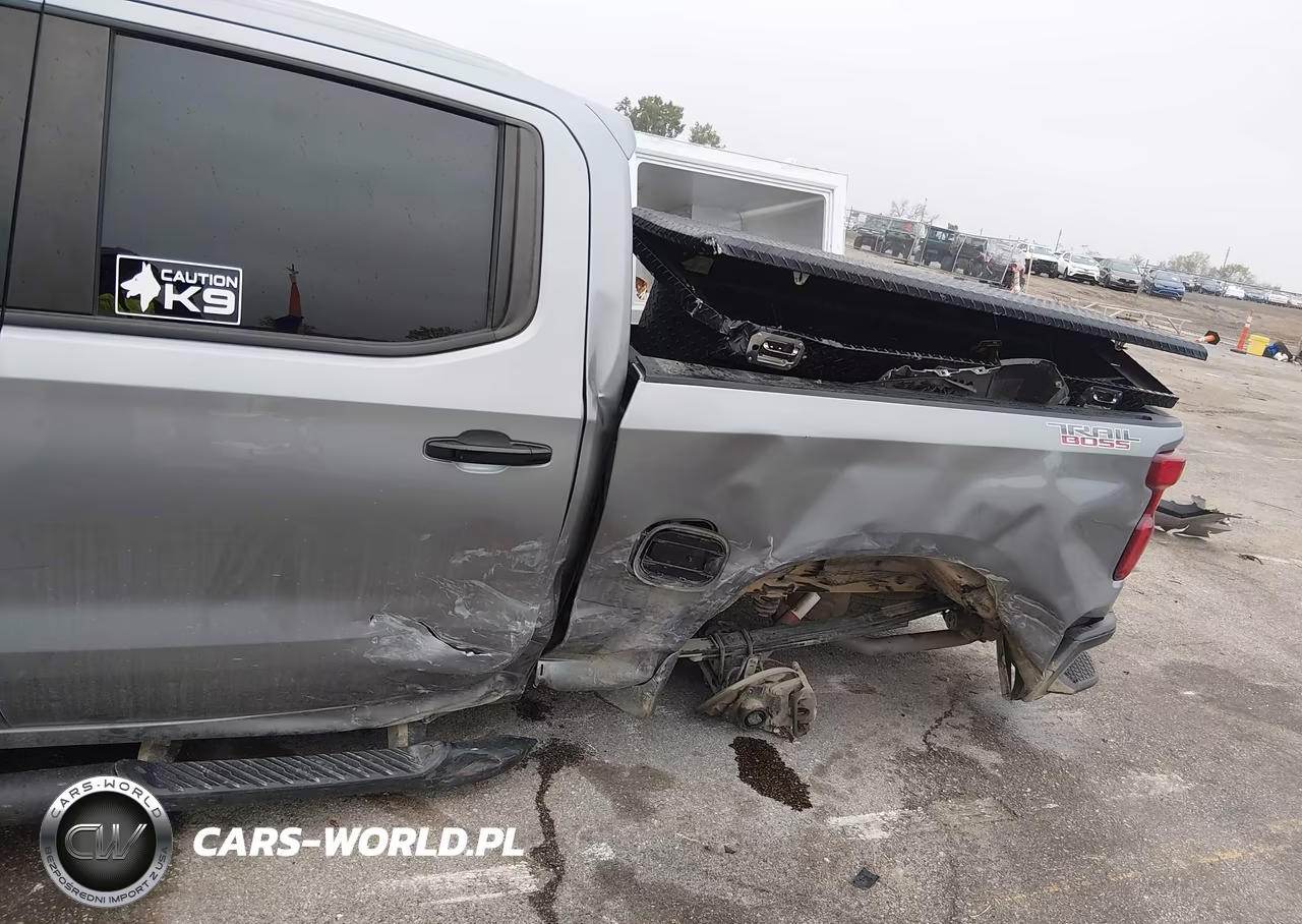 2024 Chevrolet Silverado 1500 VIN:3GCUDFED7RG119211 - 6