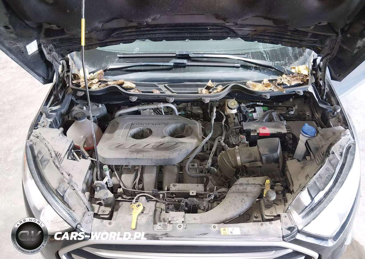 2019 Ford Ecosport Se VIN:MAJ6S3GL7KC265074 - 10