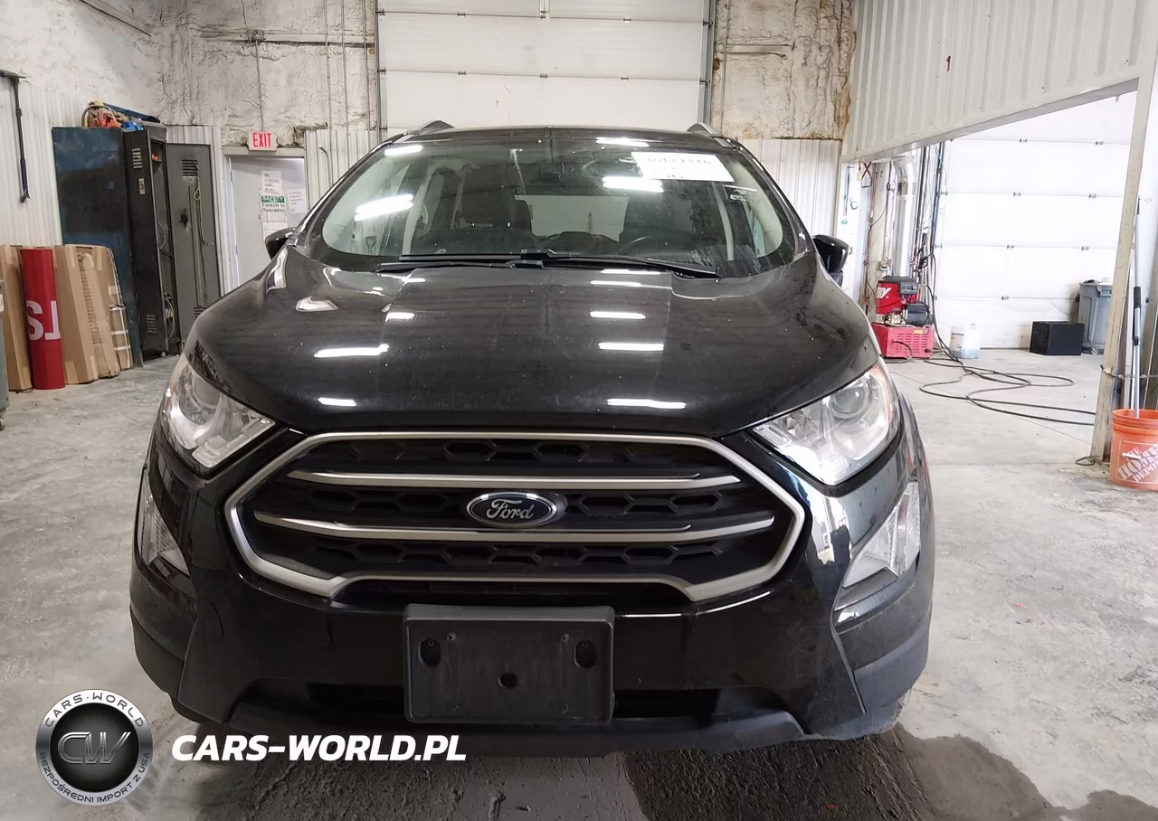 2019 Ford Ecosport Se VIN:MAJ6S3GL7KC265074 - 12