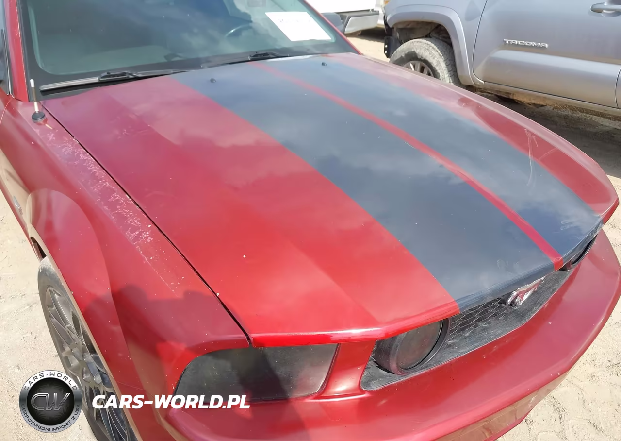 2005 Ford Mustang Gt Deluxe-Gt Premium VIN:1ZVHT82H055181555 - 14