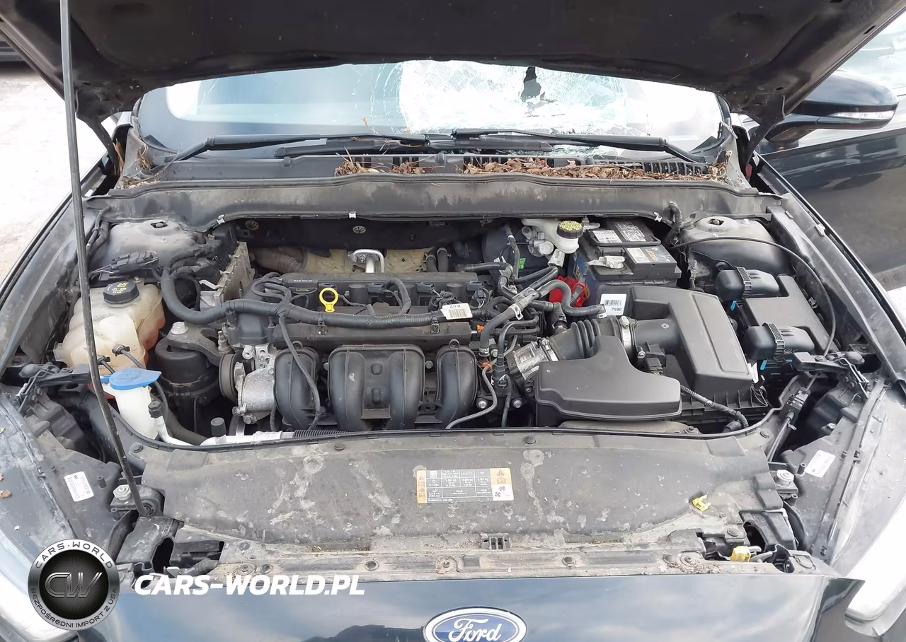 2016 Ford Fusion Se VIN:3FA6P0H7XGR191837 - 10