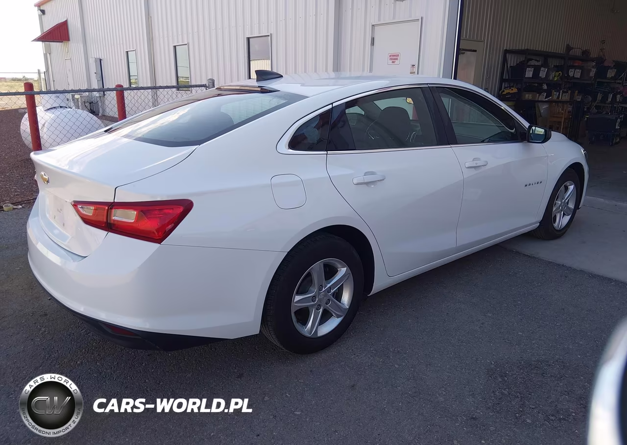 2020 Chevrolet Malibu Fwd 1Fl VIN:1G1ZC5ST5LF139277 - 4