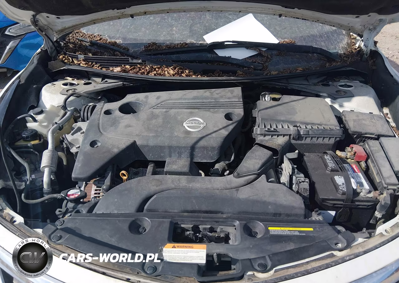 2015 Nissan Altima 2.5-2.5 S-2.5 Sl-2.5 Sv VIN:1N4AL3AP6FC496380 - 10
