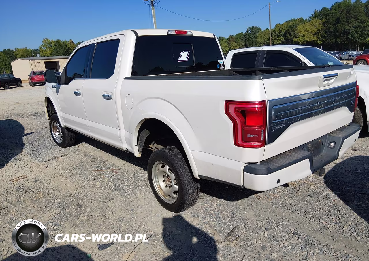 2017 Ford F-150 Limited VIN:1FTEW1EG1HFA95578 - 3