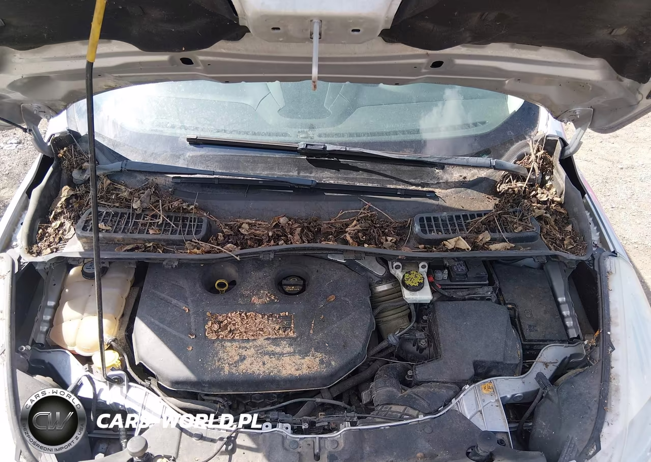 2013 Ford Escape Sel VIN:1FMCU9H99DUA79056 - 10