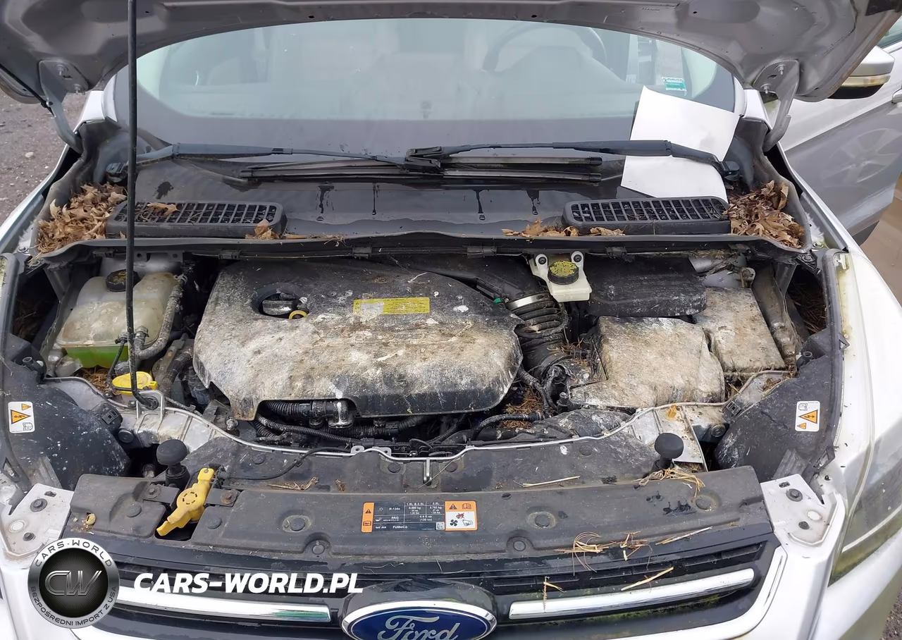 2014 Ford Escape Titanium VIN:1FMCU0JX6EUC19778 - 10