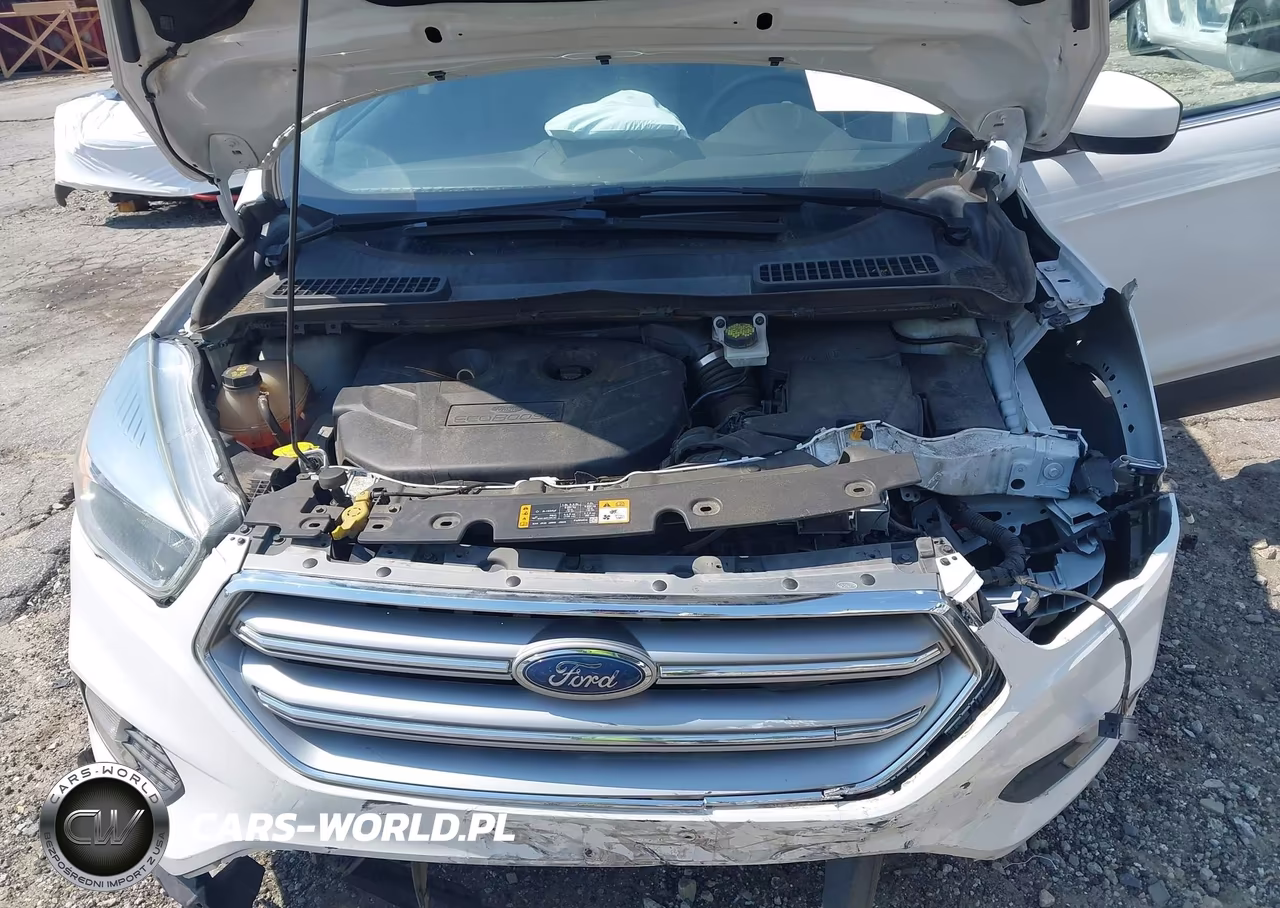 2017 Ford Escape Se VIN:1FMCU9G90HUF10441 - 10