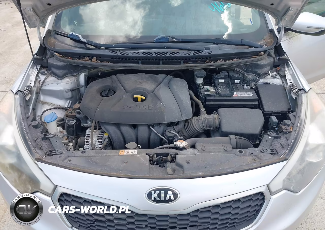 2016 Kia Forte Lx VIN:KNAFK5A86G5571783 - 10