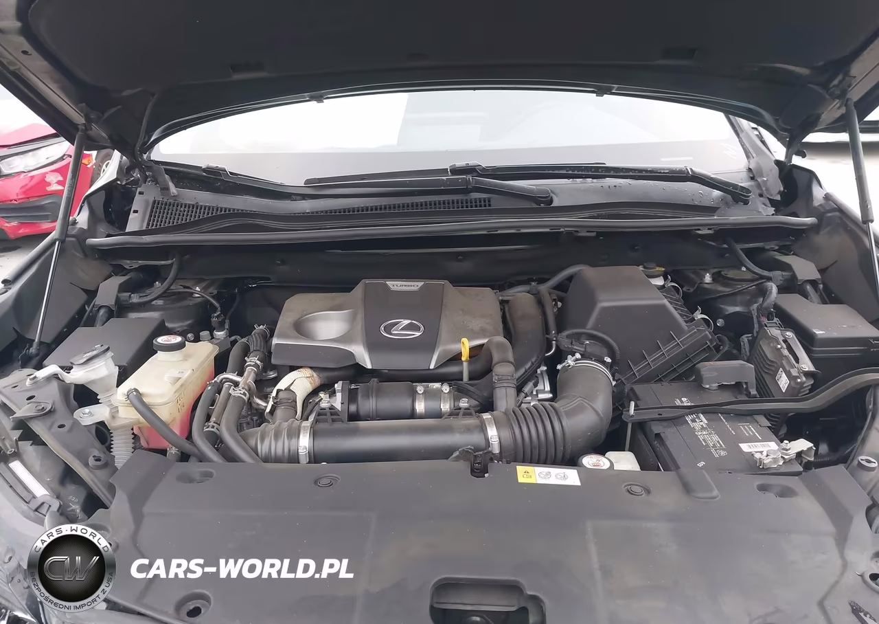 2018 Lexus Nx 300 VIN:JTJYARBZ6J2109856 - 10