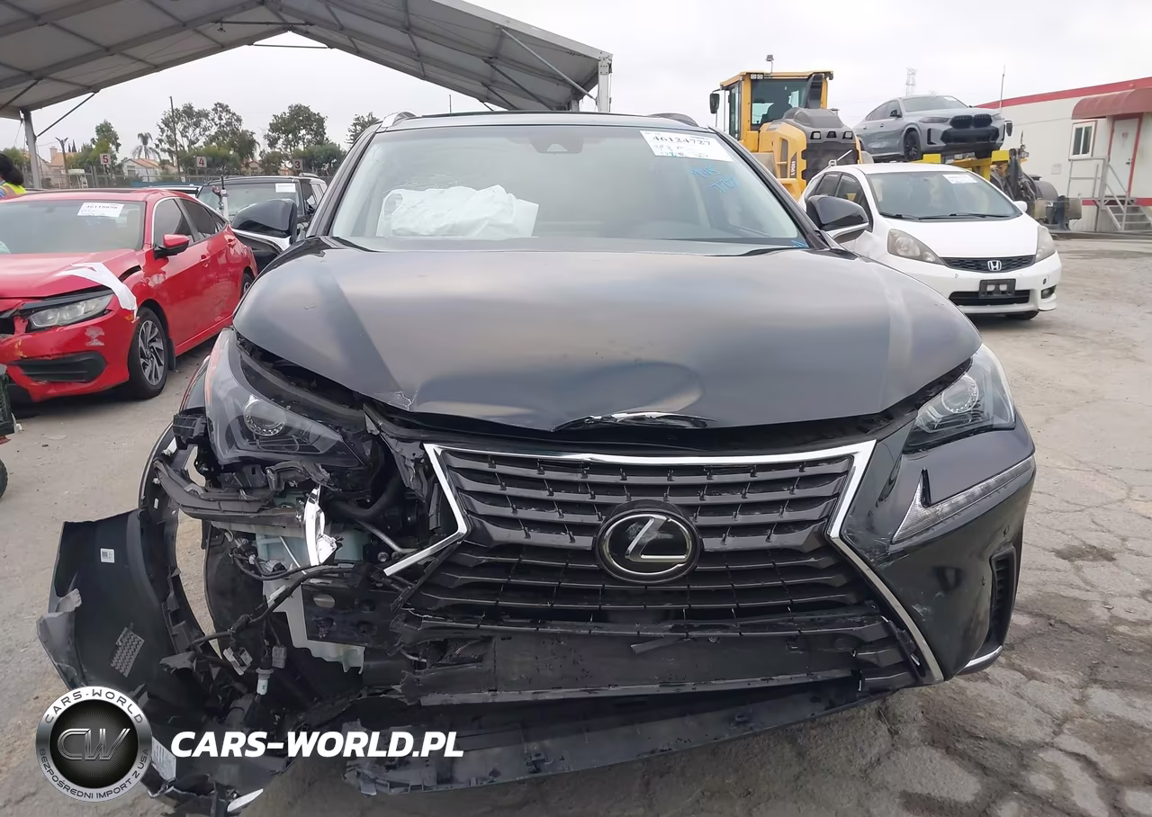 2018 Lexus Nx 300 VIN:JTJYARBZ6J2109856 - 12