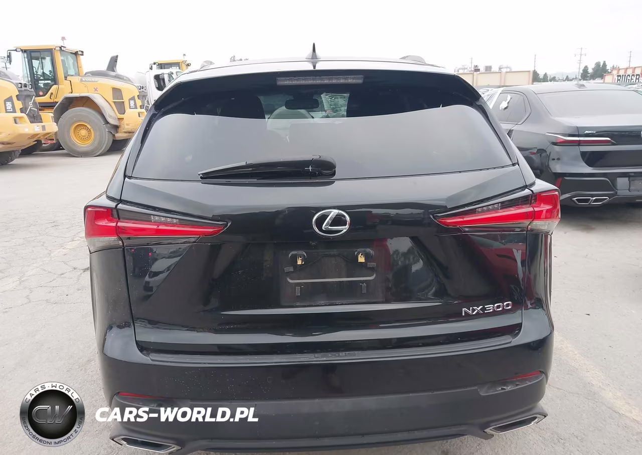 2018 Lexus Nx 300 VIN:JTJYARBZ6J2109856 - 16