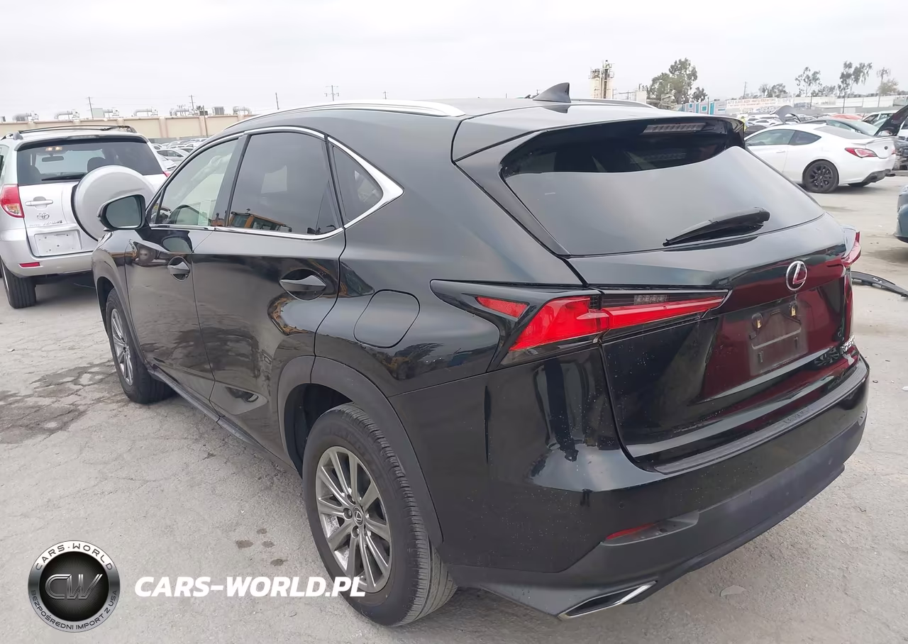 2018 Lexus Nx 300 VIN:JTJYARBZ6J2109856 - 3