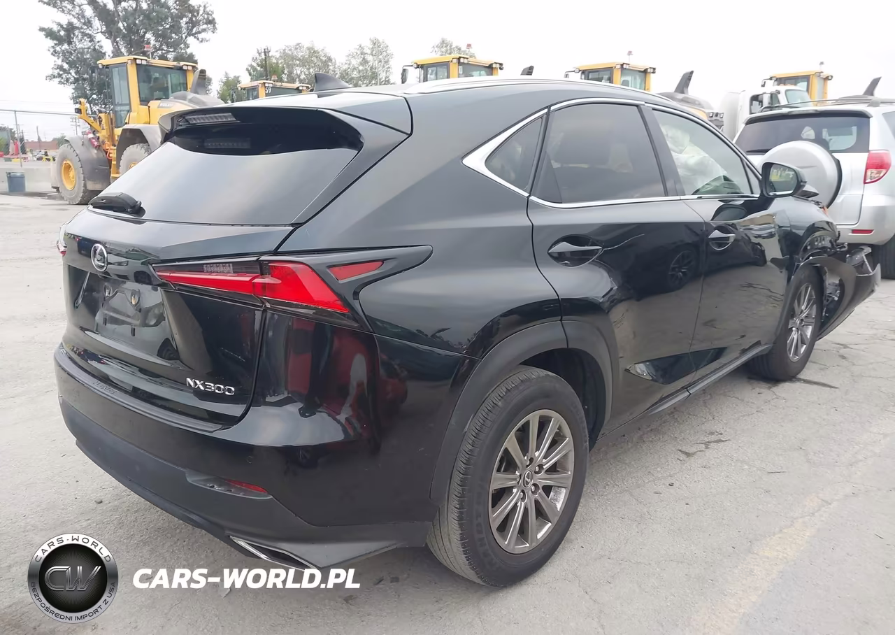 2018 Lexus Nx 300 VIN:JTJYARBZ6J2109856 - 4