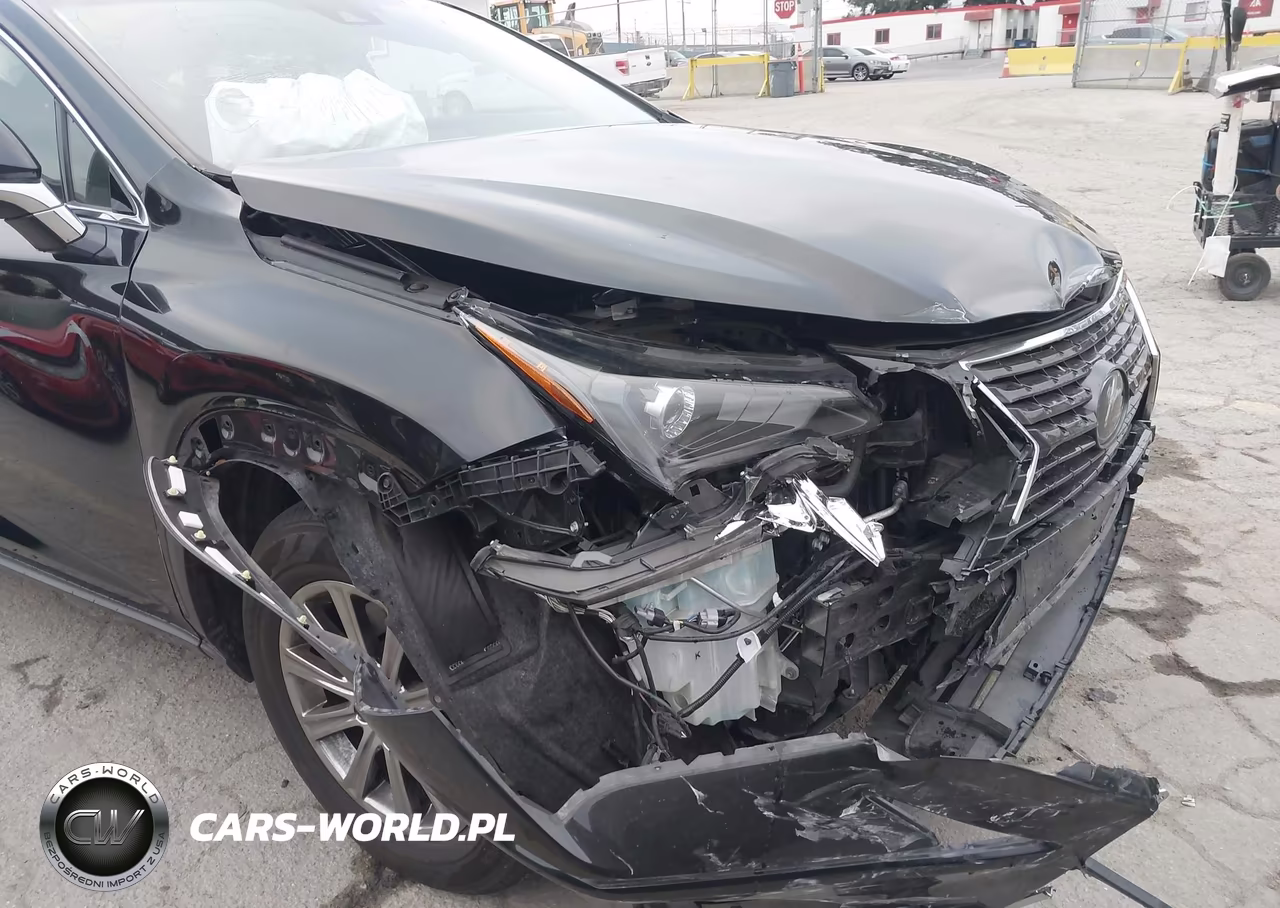 2018 Lexus Nx 300 VIN:JTJYARBZ6J2109856 - 6