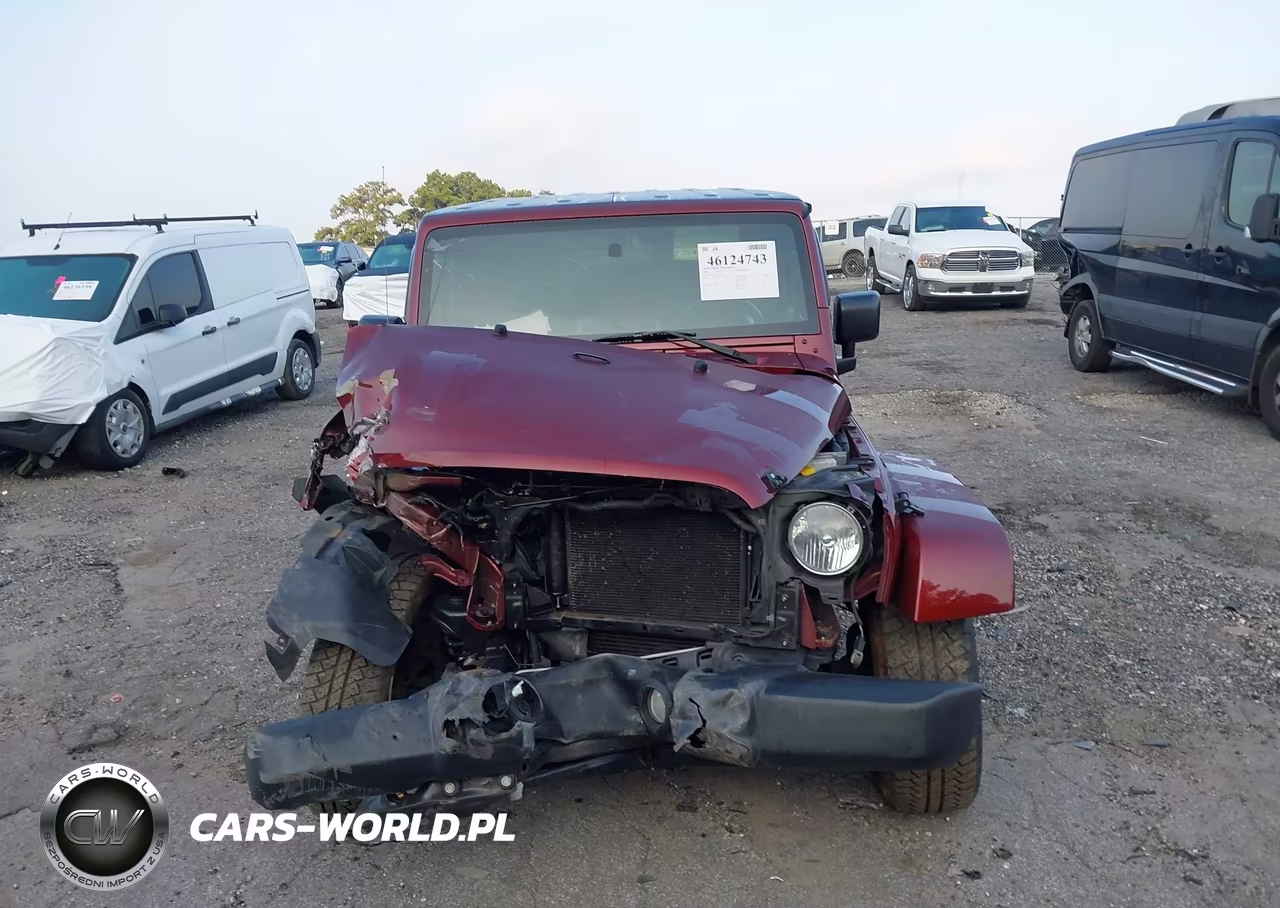 2008 Jeep Wrangler Sahara VIN:1J4FA541X8L594172 - 12