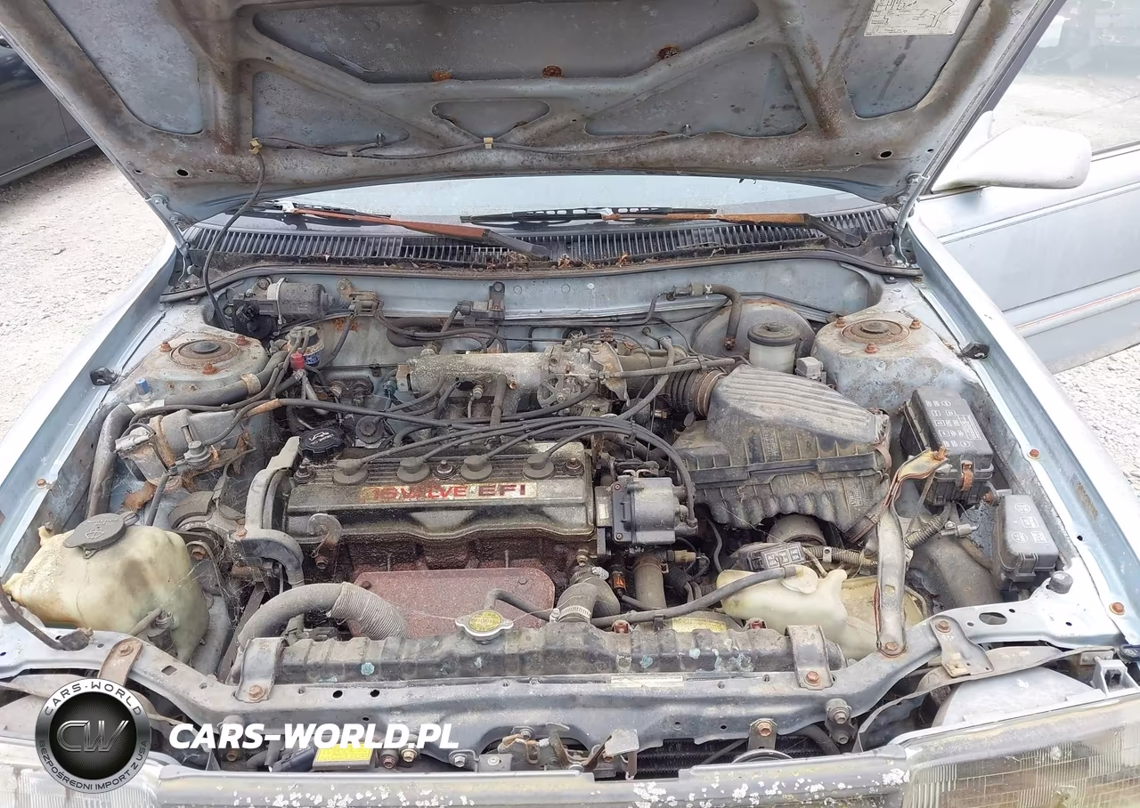 1991 Toyota Corolla Le-Dlx VIN:2T1AE97A0MC085944 - 10
