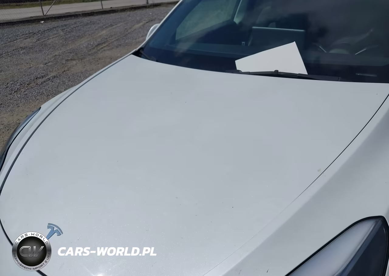 2023 Tesla Model Y Awd-Long Range Dual Motor All-Wheel Drive VIN:7SAYGDEE0PF758817 - 10