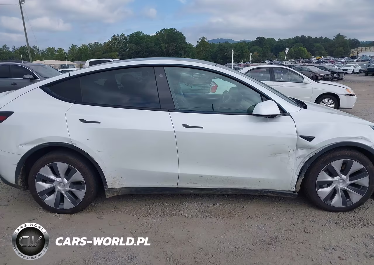 2023 Tesla Model Y Awd-Long Range Dual Motor All-Wheel Drive VIN:7SAYGDEE0PF758817 - 12