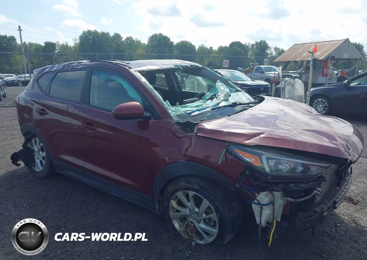 2019 Hyundai Tucson Se VIN:KM8J2CA45KU917363 - 1