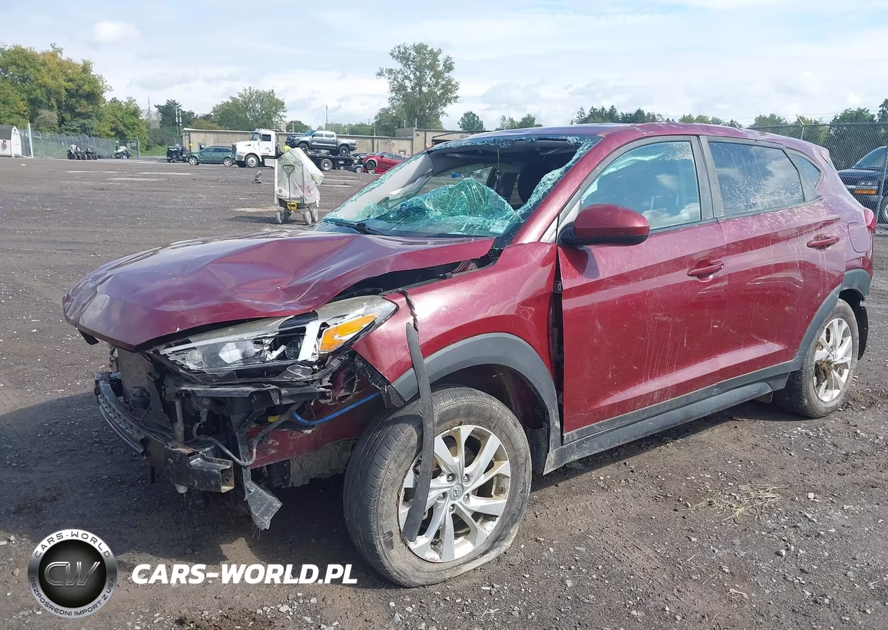 2019 Hyundai Tucson Se VIN:KM8J2CA45KU917363 - 2