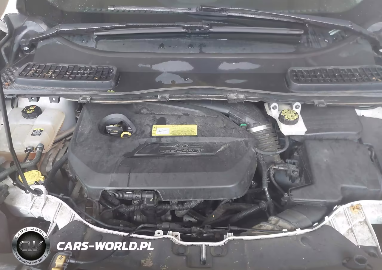 2013 Ford Escape Sel VIN:1FMCU9HX8DUB96044 - 10