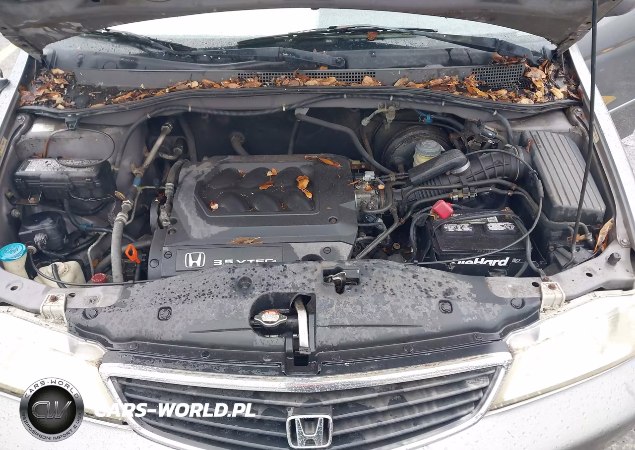 2000 Honda Odyssey Ex VIN:2HKRL1863YH569999 - 10