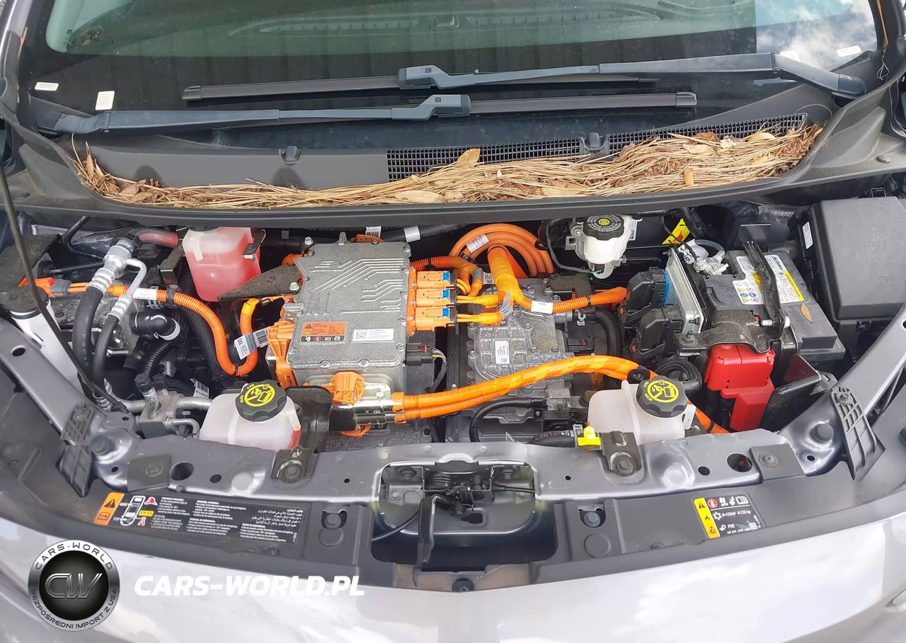 2023 Chevrolet Bolt Ev Fwd 1Lt VIN:1G1FW6S03P4180109 - 10