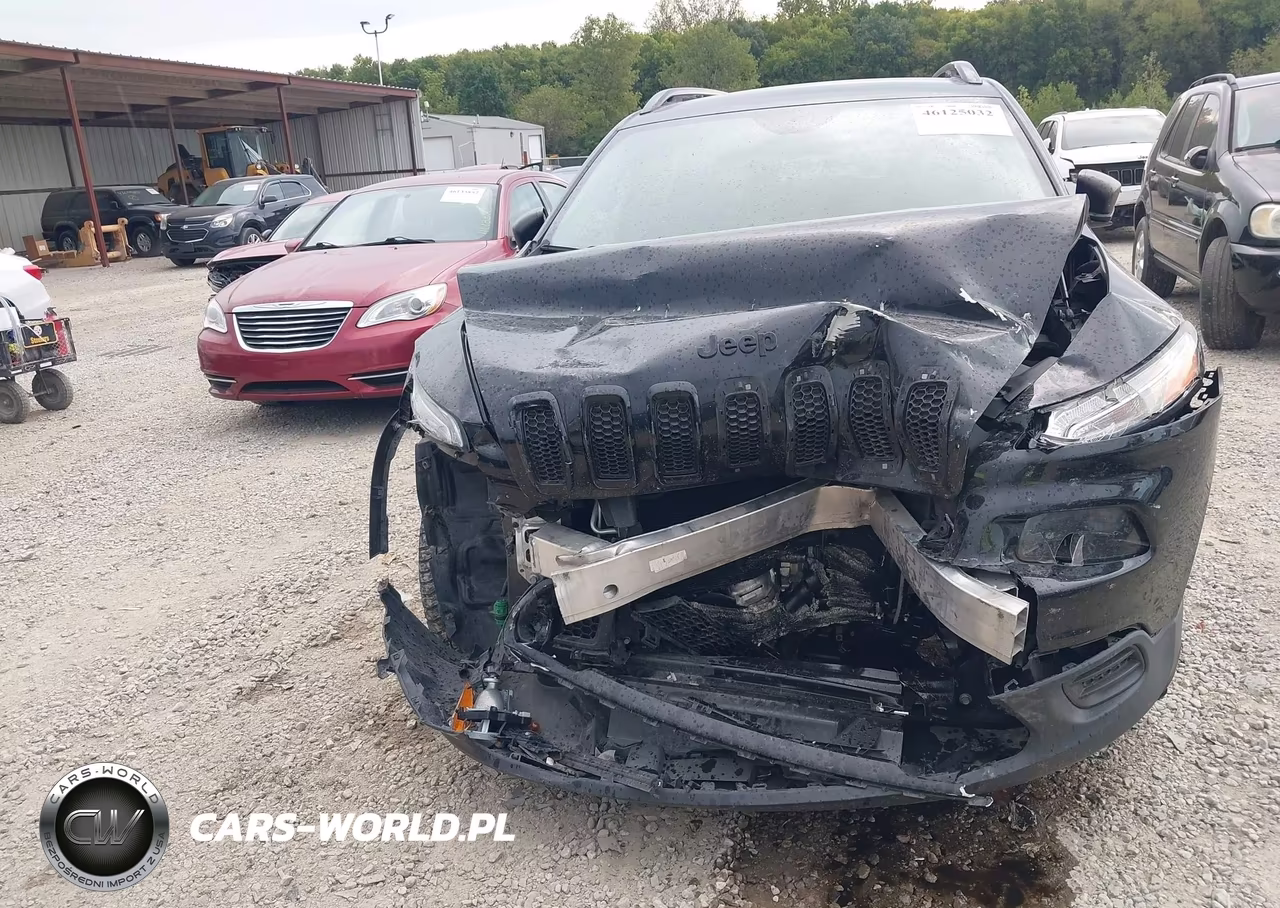 2016 Jeep Cherokee Altitude VIN:1C4PJMAB5GW317525 - 6