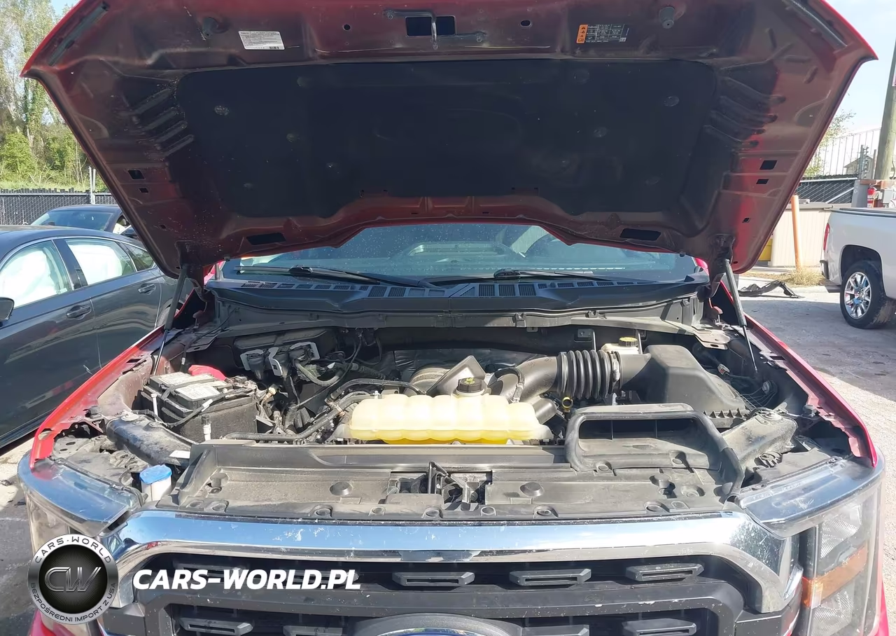 2023 Ford F-150 Xlt VIN:1FTFW1E5XPKF00488 - 10