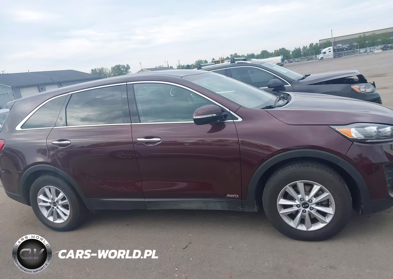 2019 Kia Sorento 2.4L Lx VIN:5XYPGDA31KG548001 - 12