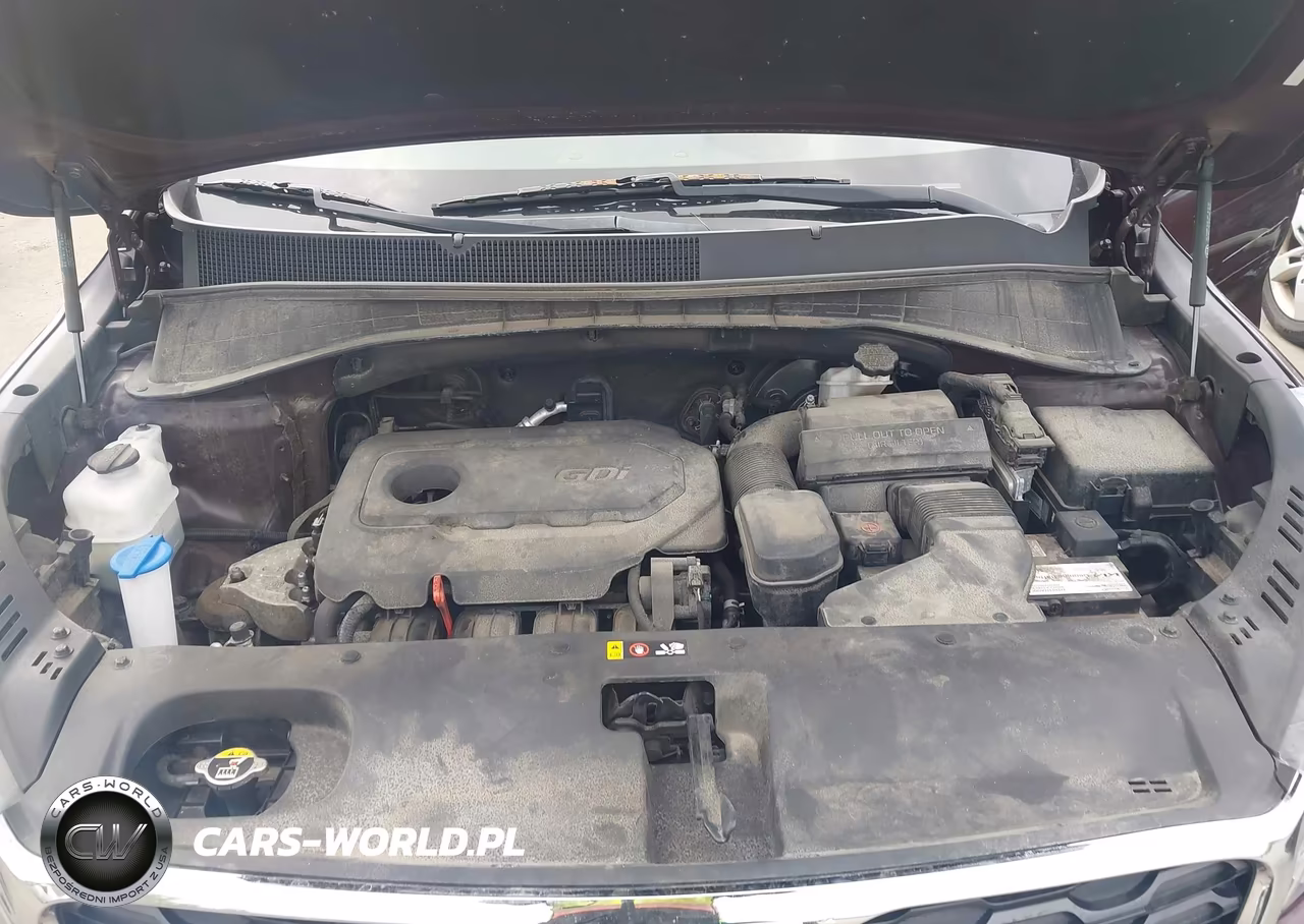 2019 Kia Sorento 2.4L Lx VIN:5XYPGDA31KG548001 - 9