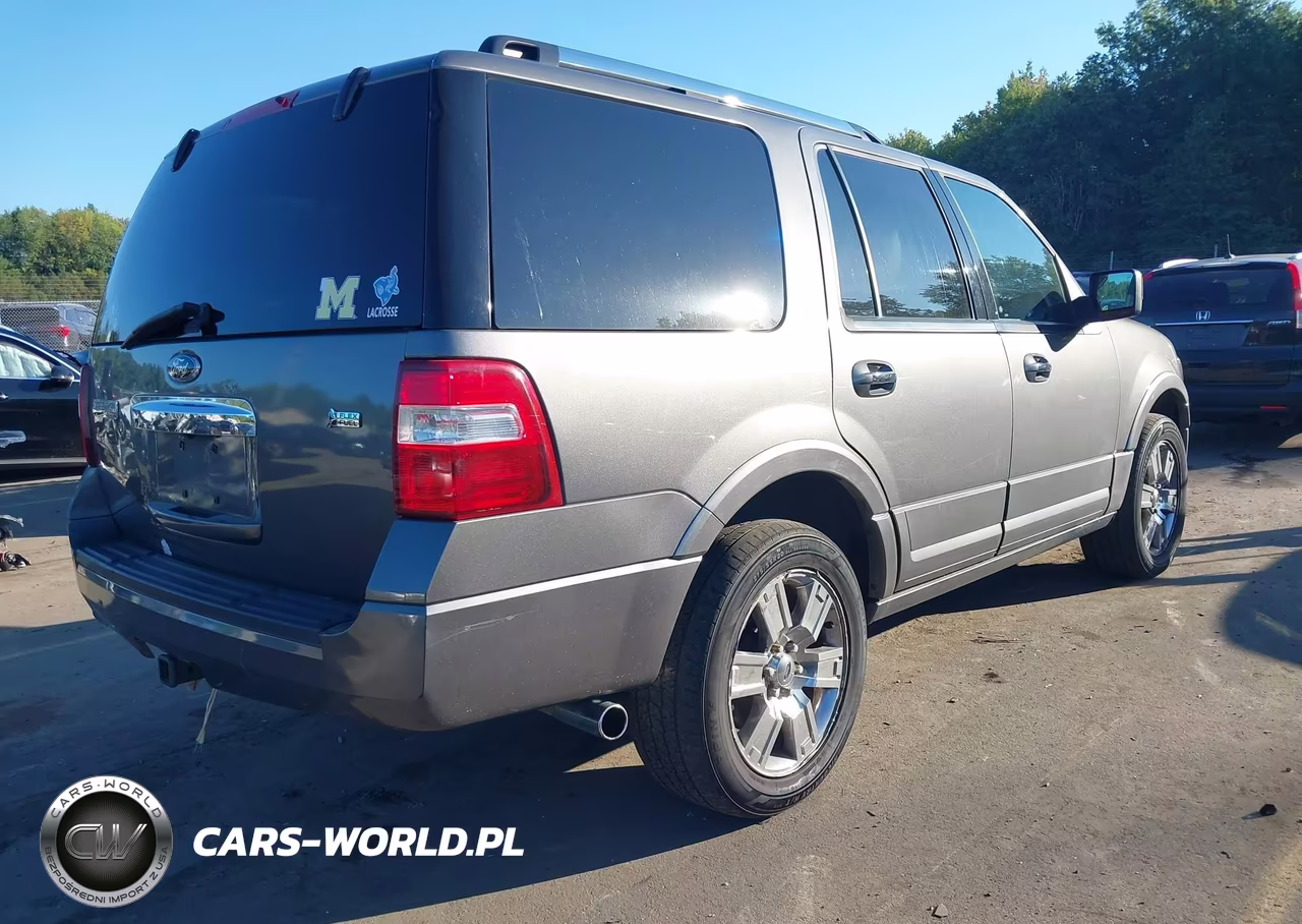 2010 Ford Expedition Limited VIN:1FMJU2A52AEB63084 - 4