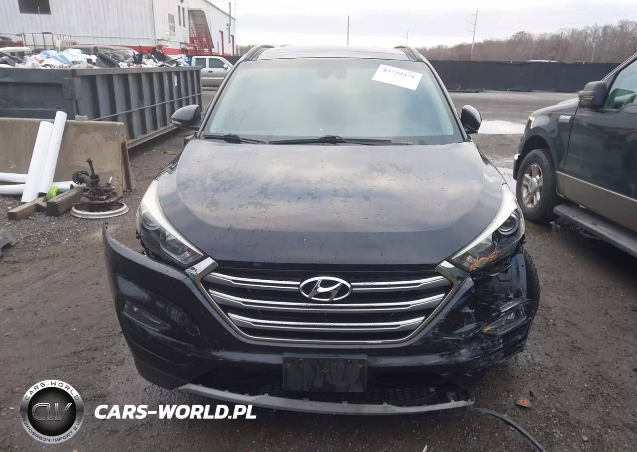 2017 Hyundai Tucson Limited VIN:KM8J33A24HU512566 - 13
