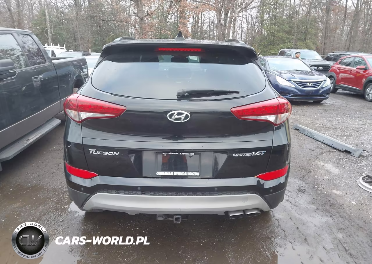 2017 Hyundai Tucson Limited VIN:KM8J33A24HU512566 - 17