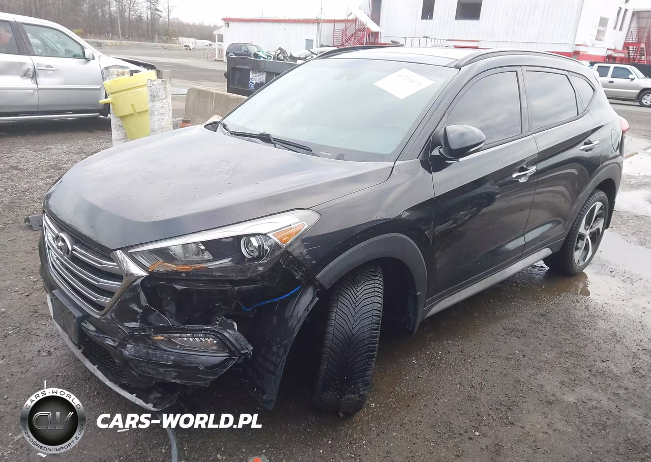 2017 Hyundai Tucson Limited VIN:KM8J33A24HU512566 - 2